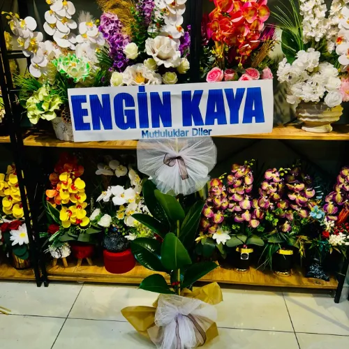 ÖZEL GÜN SAKSI ÇİÇEĞİ