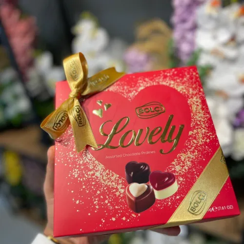 BOLÇİ ÇİKOLATA KUTUSU ÇANTALI